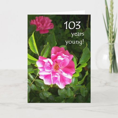 103rd Birthday Card _ Pink Roses