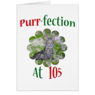 105 Purr-fection