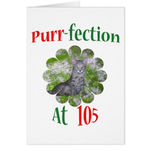 105 Purr-fection Cards (Front)