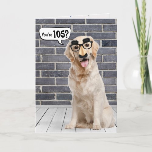 105th Birthday Funny Golden Retriever Card