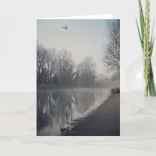 10923584_10152980290704872_2157613058937452917_n.j card