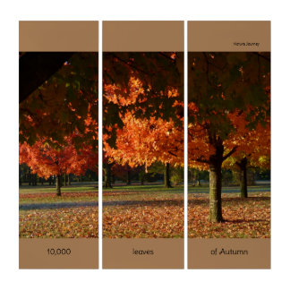 10,000 Leaves of Autumn Triptych