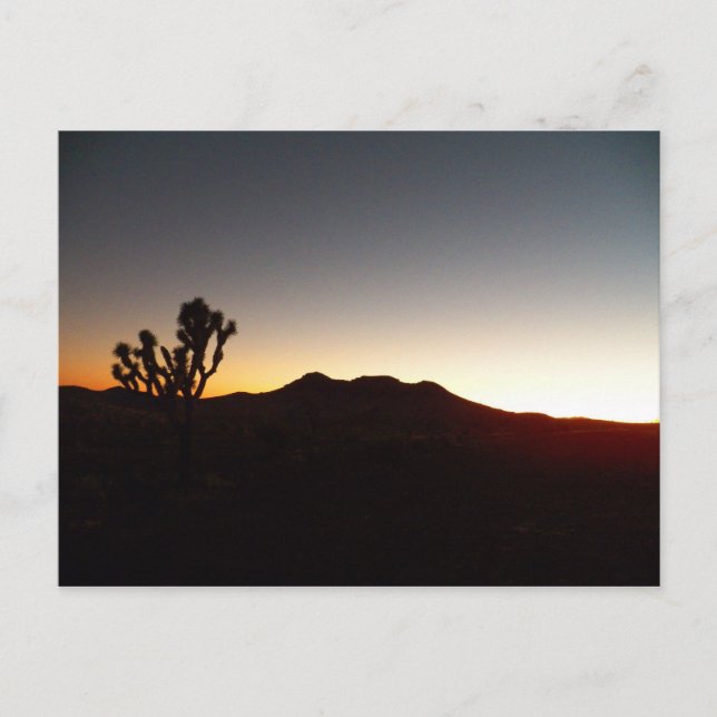 10/12/11 Sunset Postcard (Front)