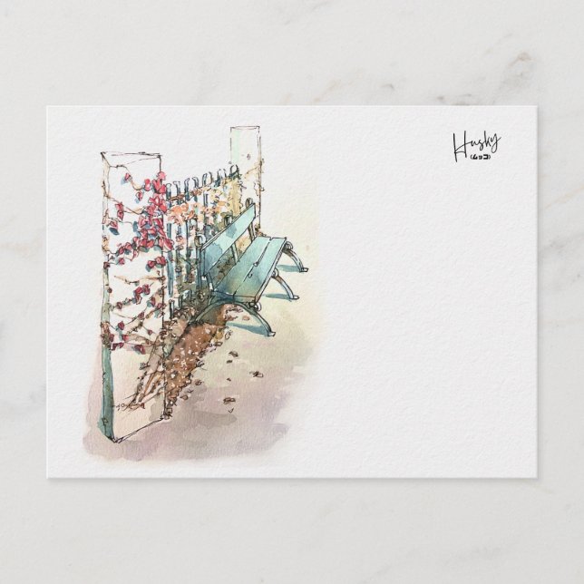 10 : A bench with ivy Postcard (Front)