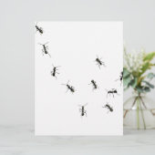 10 ants (Standing Front)
