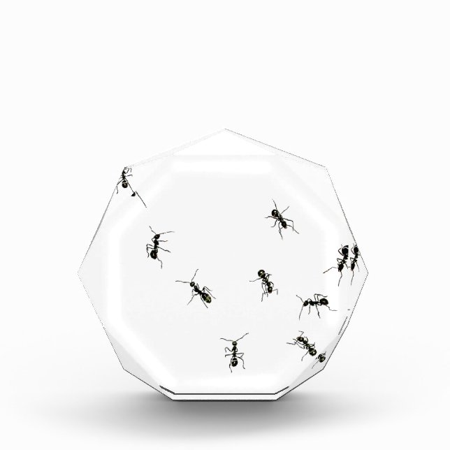10 ants acrylic award (Front)