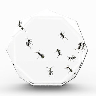 10 ants acrylic award