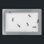 10 ants belt buckle<br><div class="desc">"10 ants" in Japanese is "Ari Ga To". Its homonym to "Arigatou" which means "Thank you" in English. I hope you enjoy this customizable design by adding texts or changing background color from edit menu.</div>