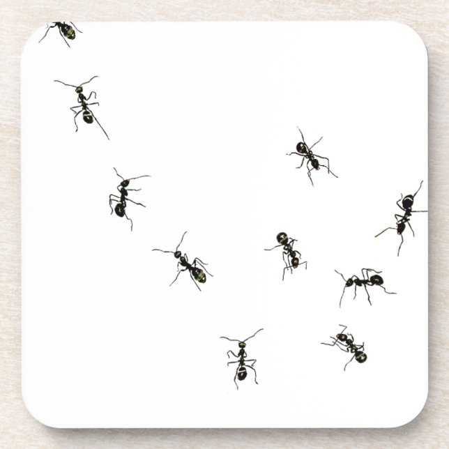 10 ants beverage coaster (Front)
