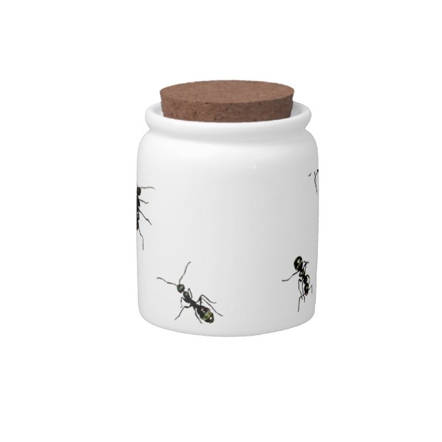 10 ants candy jar (Front)