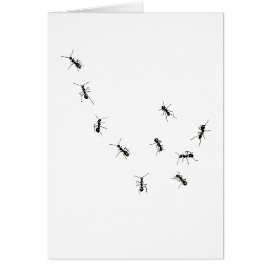 10 ants cards (Front)