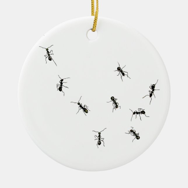 10 ants ceramic ornament (Front)