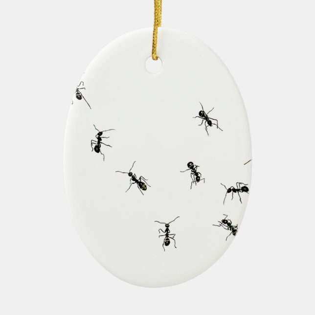 10 ants ceramic ornament (Front)
