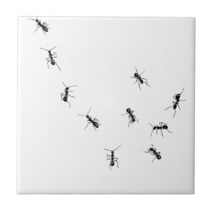 10 ants ceramic tile