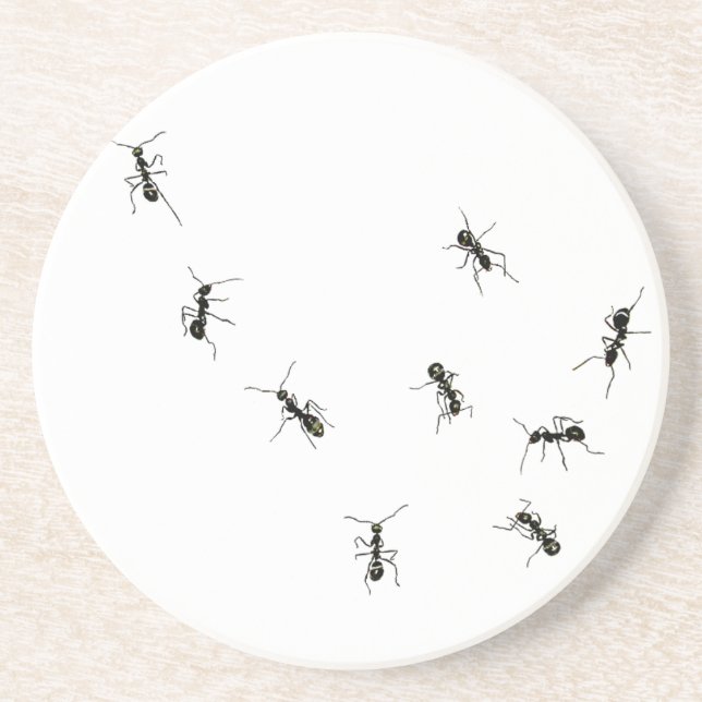 10 ants drink coaster (Front)