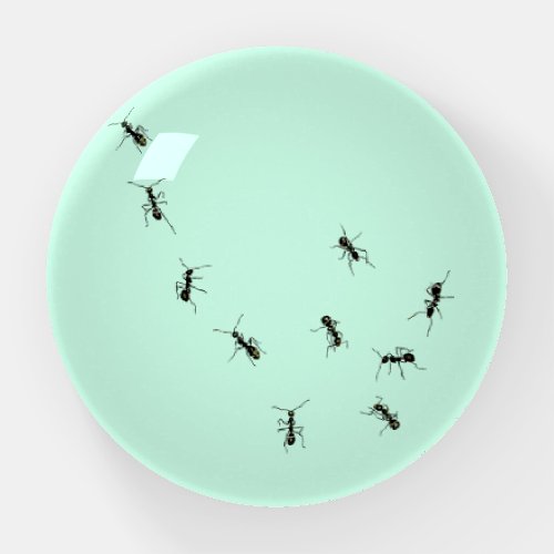 10 ants paperweight