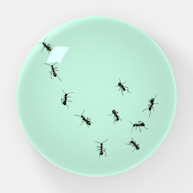 10 ants paperweight (Front)