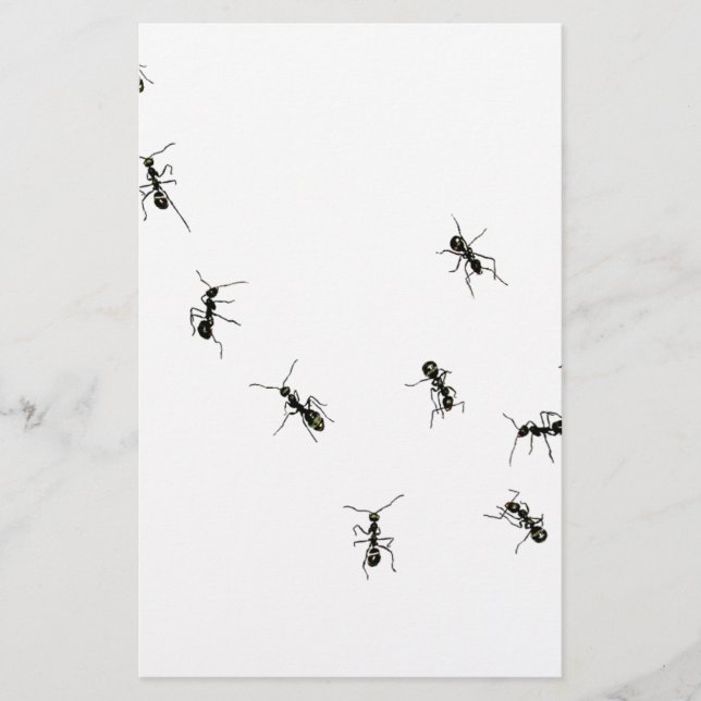 10 ants stationery (Front)