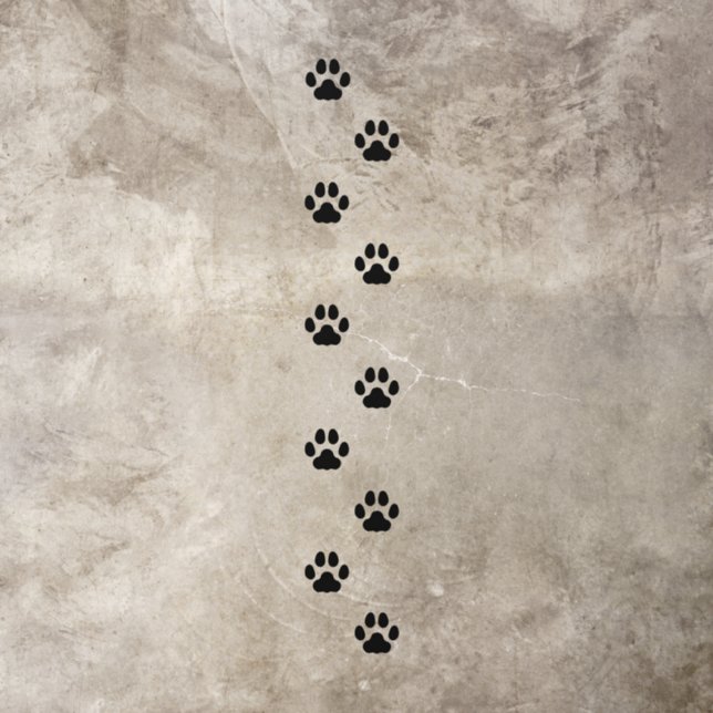 10 Black Medium Cat Paw Prints Walking Tracks Floor Decals (Insitu)