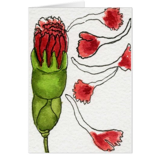 10 CARDS (Front)