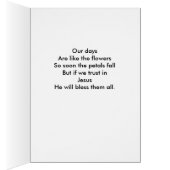 10 CARDS (Inside (Right))