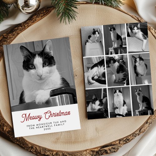 10 Cat Photos Meowy Christmas Fun Holiday Card