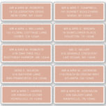 10 Individual Guest Name Address Party Wedding Sticker<br><div class="desc">10 Individual Guest Name Address Party Wedding White Script Stickers features 10 stickers with your individual guest name and address on each sticker in white script typography on a putty brown background. Perfect for wedding invitations, Christmas and Holiday cards, party invitations, thank you cards and office mail outs. Simply edit...</div>