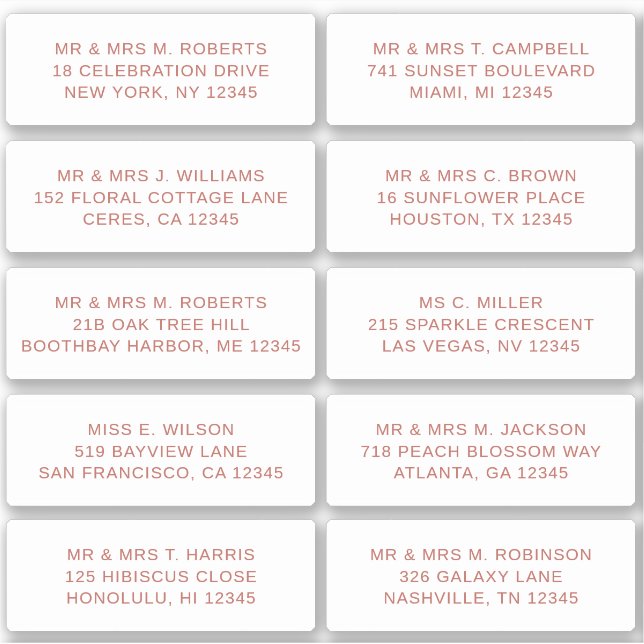 10 Individual Guest Name Address Party Wedding Sticker (Front)