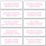 10 Individual Guest Name Address Party Wedding Sticker<br><div class="desc">10 Individual Guest Name Address Party Wedding Pink Script Stickers features 10 stickers with your individual guest name and address on each sticker in pink on a white background. Also perfect for Christmas and Holiday cards, party invitations, thank you cards and office mail outs. Simply edit the text in the...</div>