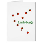 10 ladybugs (Front)