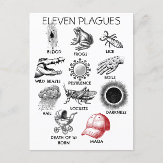 10 Plagues Humor Postcard