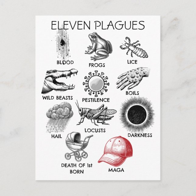 10 Plagues Humor Postcard (Front)