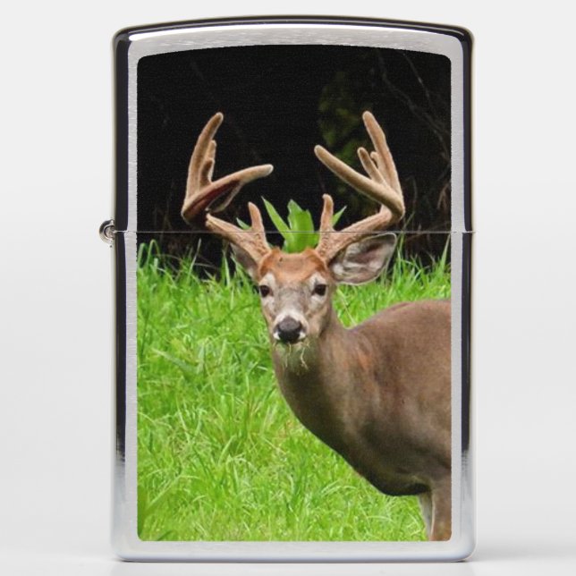 10 Point Buck Caught Eating Zippo Lighter (Front)