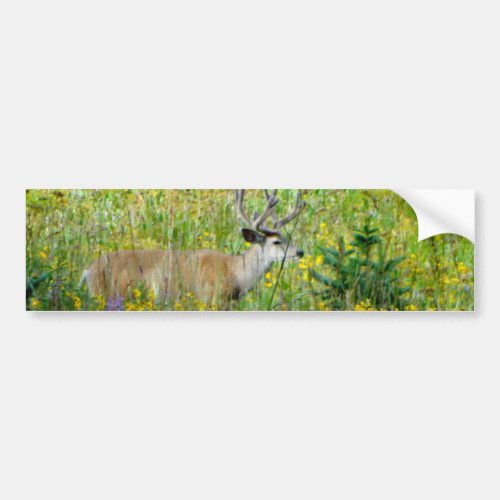 10 Point velvet buck in a field of wildflowers Bumper Sticker
