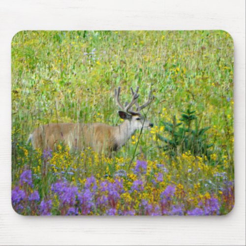 10 Point velvet buck in a field of wildflowers Mouse Pad