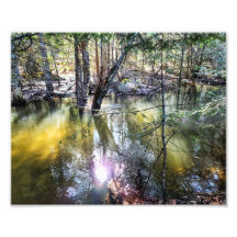 10"x8" Photo Print || A Walk By Sage Creek