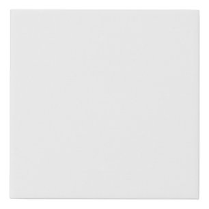 10 x 10 Faux Wrapped Canvas