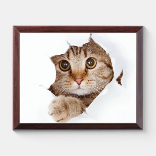 10 x 8 Cute Cat picture  Wood Plaque 