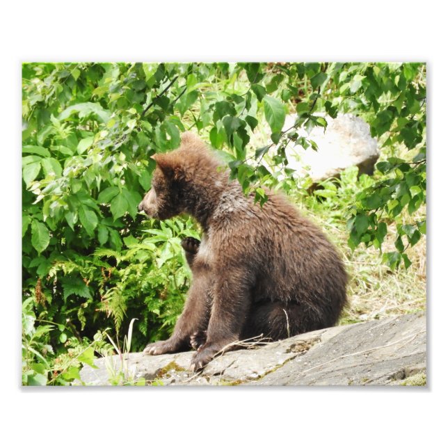 10" x 8", Kodak Professional Photo Paper (Satin) (Front)