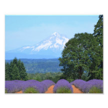 10" x 8", Kodak Professional Photo Paper (Satin)