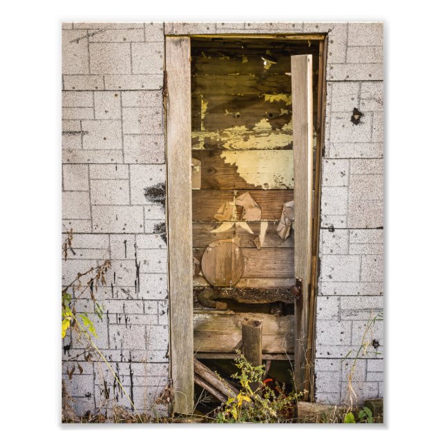 10" x 8", Kodak Professional Photo Paper (Satin) (Front)