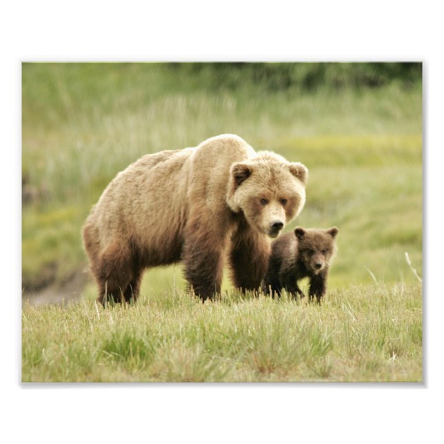 10" x 8", Kodak Professional Photo Paper (Satin) Print (Front)