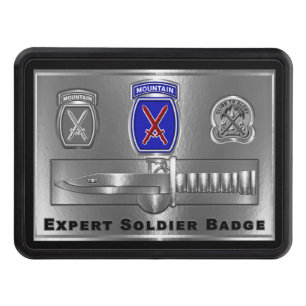 10th Mountain Division “Expert Soldier Badge” Hitch Cover