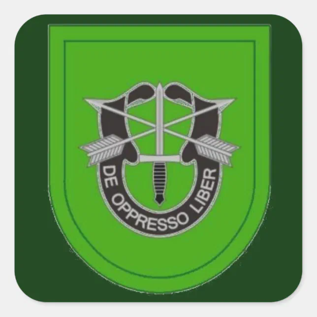 10th Special Forces Grp Flash DUI Stickers | Zazzle
