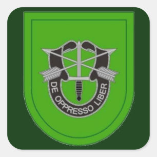 10th Special Forces Grp Flash DUI Stickers