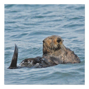 10x10 Faux Wrapped Canvas Print of otter