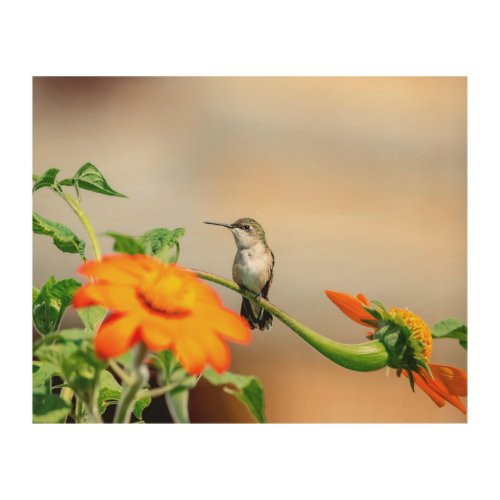 10x8 Hummingbird on a flowering plant Wood Wall Decor