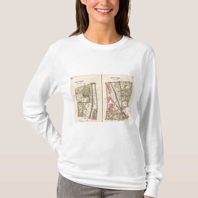 110111 Mt Vernon T-Shirt (Front)