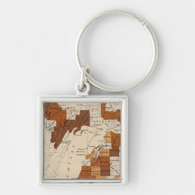 110 Typhoid fever Michigan Keychain (Front)