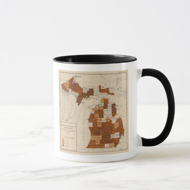 110 Typhoid fever Michigan Mug (Right)